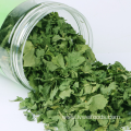 High quality dehydrated celery leaves 10*10mm